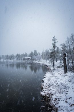 First Snow