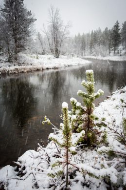 First Snow